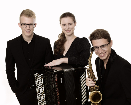 ars-hippocratis-trio-ardor-in-druzinska-zdravnica-natasa-zilevski-02